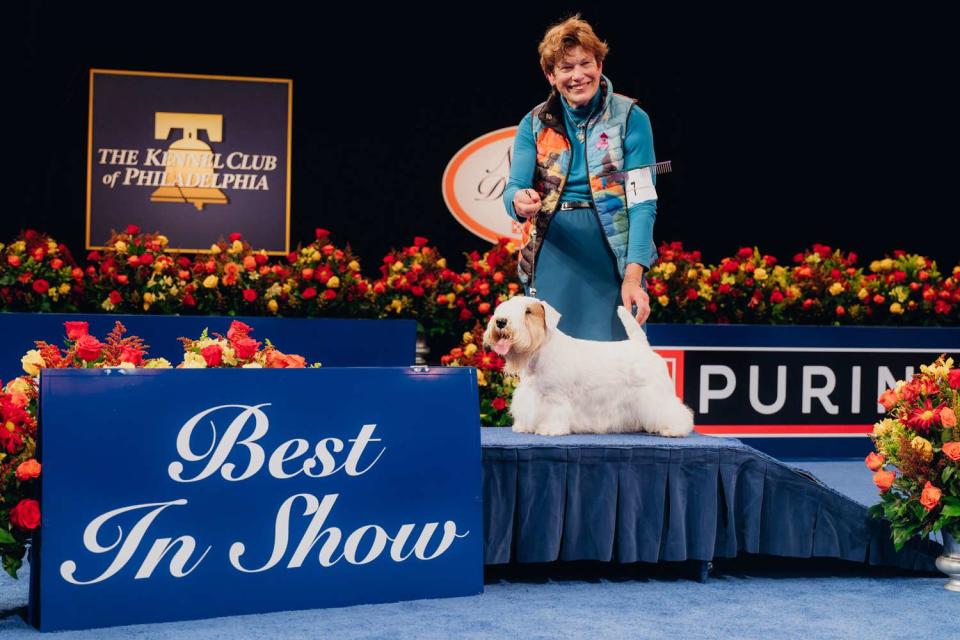 Stache the Sealyham Terrier Wins Best in Show at the 2023 National Dog Show