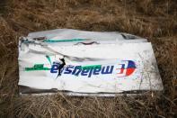 FILE PHOTO: A part of the wreckage of the downed Malaysia Airlines Flight MH17 is seen at its crash site near the village of Hrabove