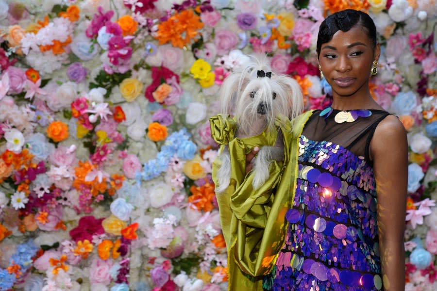 A dog and model attend the Pet Gala fashion show at AKC Museum of The Dog on Monday, May 20, 2024, in New York. (Photo by Charles Sykes/Invision/AP)