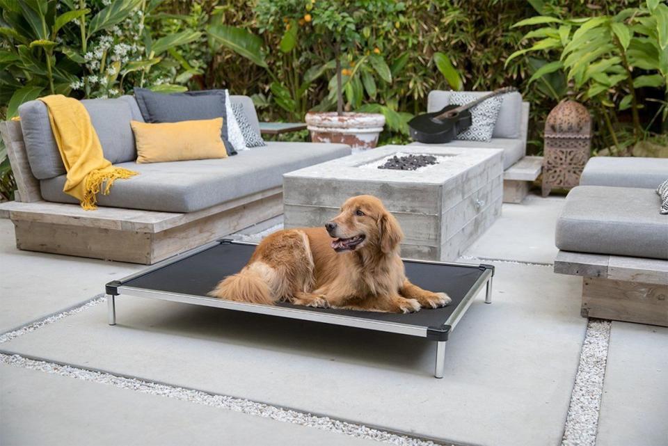 Chew Proof Armored Elevated Dog Bed™