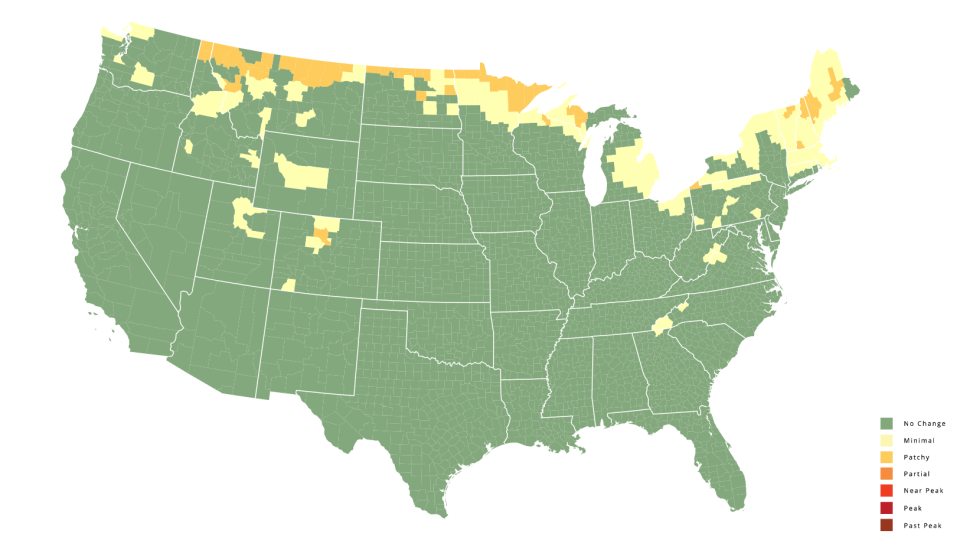 New Hampshire fall color forecast 2024 Map, weekbyweek predictions