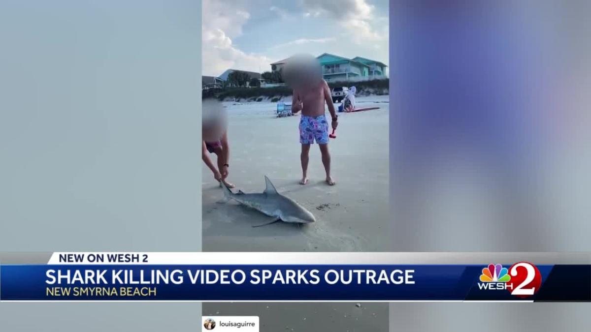 Shark killing video on New Smyrna Beach sparks outrage