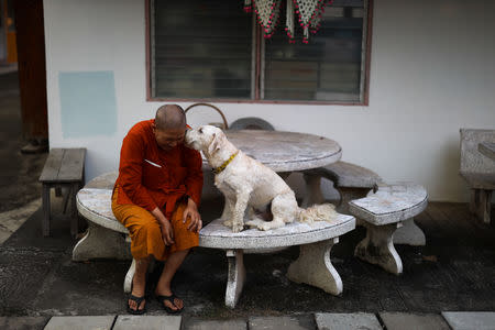 Dhammananda Bhikkhuni, 74, abbess of the Songdhammakalyani monastery, plays with her dog at the Songdhammakalyani monastery, Nakhon Pathom province, Thailand, December 3, 2018. REUTERS/Athit Perawongmetha