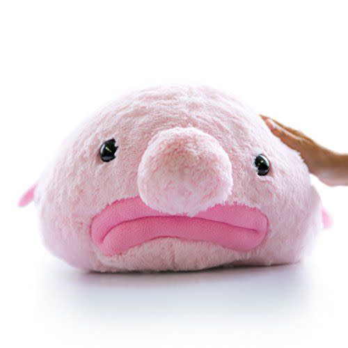 30) Stuffed Blobfish Plush