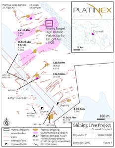 Shining Tree Project, Caswell Prospect