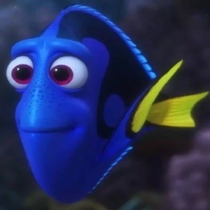 Dory the blue tang fish from Disney Pixar's Finding Nemo