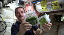 Canadian astronaut Chris Hadfield shows what spinach in space looks like when it is still dehydrated (right) and ready to eat after rehydration (left) in a space cooking lesson during his Expedition 35 mission in March 2013.