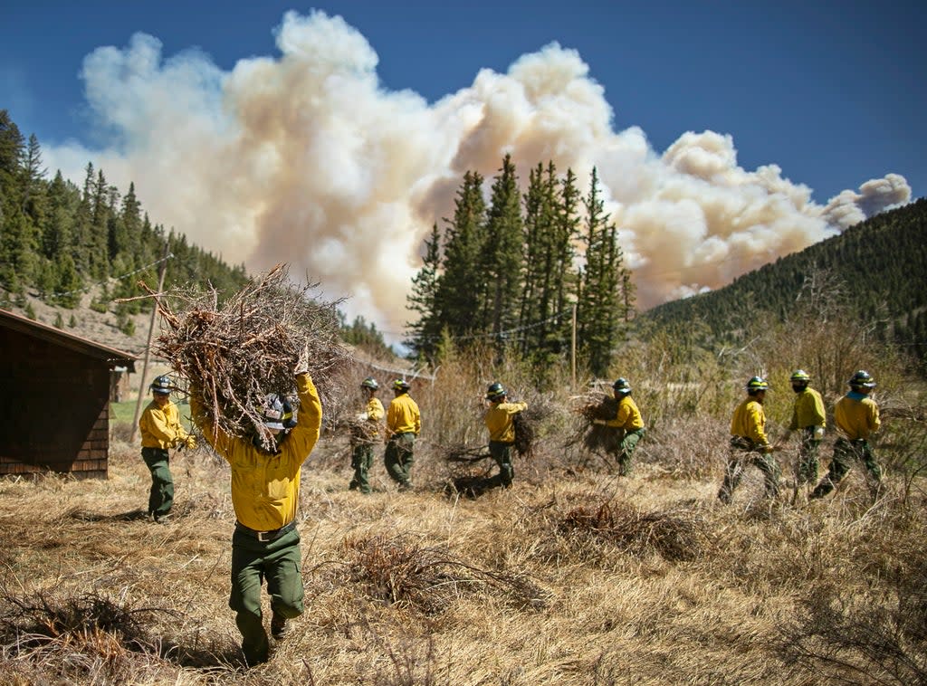 Wildfires New Mexico (Santa Fe New Mexican)