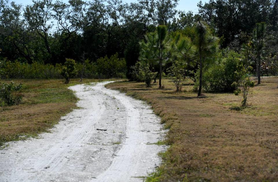 A community conservation project in the fishing village of Cortez, Florida protects 100 acres of mangrove and wildlife habitat from development.