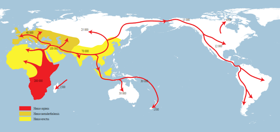 Mapa de la migración de <em>Homo sapiens</em>, <em>Homo erectus</em> y <em>Homo neanderthalensis</em> <a href="https://es.m.wikipedia.org/wiki/Archivo:Spreading_homo_sapiens_la.svg" rel="nofollow noopener" target="_blank" data-ylk="slk:NordNordWest / Wikimedia Commons;elm:context_link;itc:0;sec:content-canvas" class="link ">NordNordWest / Wikimedia Commons</a>