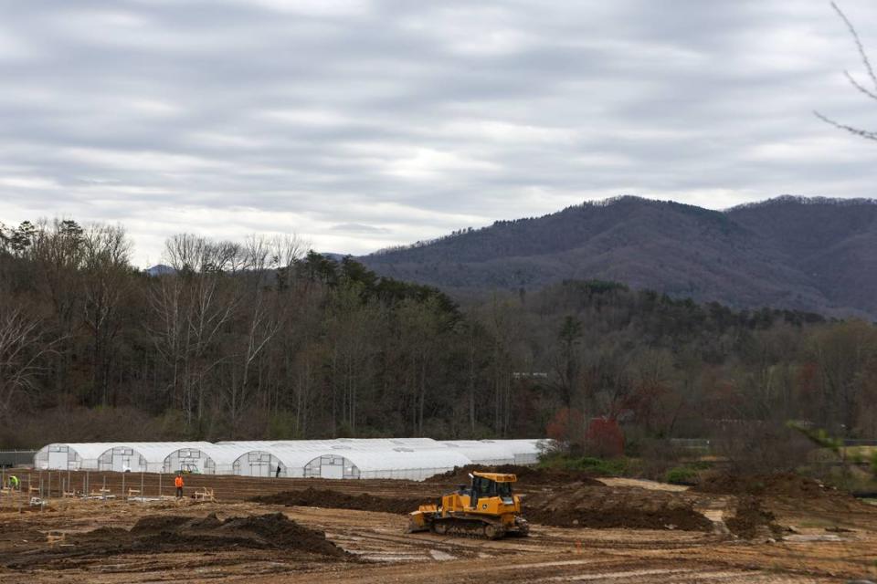 The medical marijuana farm owned and operated by Qualla Enterprises, LLC sits on a piece of land with a clear view of the Great Smoky Mountains. The Cherokee tribal council on Thursday, June 6, 2024, voted to expand sales at the tribe’s new medical marijuana dispensary to any adult in the state.