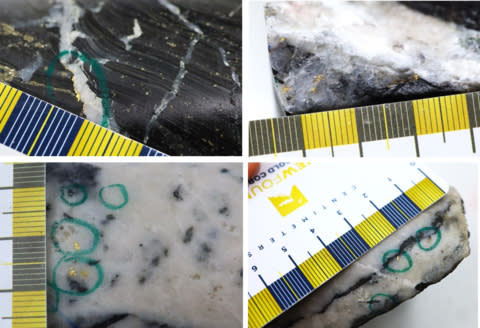 Figure 1: Photos of mineralization from: Top Left: NFGC-23-1669 at ~79.8m, Top Right NFGC-23-1783 at ~13.2m, Bottom Left: NFGC-23-1778 at ~17.8m, Bottom Right: NFGC-23-1669 at ~75.5m ^Note that these photos are not intended to be representative of gold mineralization in NFGC-23-1669, NFGC-23-1778, and NFGC-23-1783. (Photo: Business Wire)