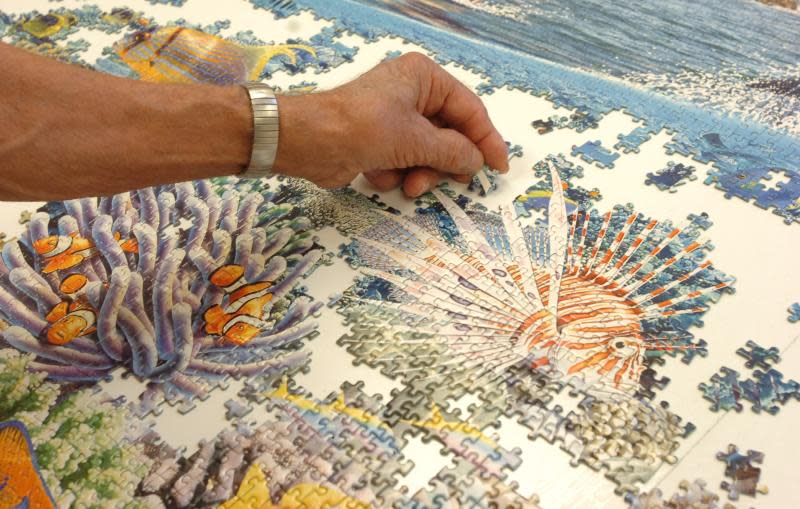 Frenchtown senior citizens worked on this 24,000 piece puzzle in 2019. The Flat Rock Public Library is holding Saturday Morning Game Day & Puzzle Exchange from 10 a.m. to 2 p.m. Jan. 13.