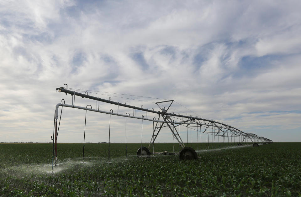 An irrigation pivot sprays water onto a young corn crop in Grant County, Kans., in 2015.<span class="copyright">Travis Heying—Wichita Eagle/Tribune News Service/Getty Images.</span>