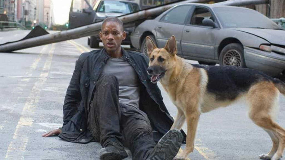 Will Smith and his canine companion in 'I Am Legend'. (Credit: Warner Bros)