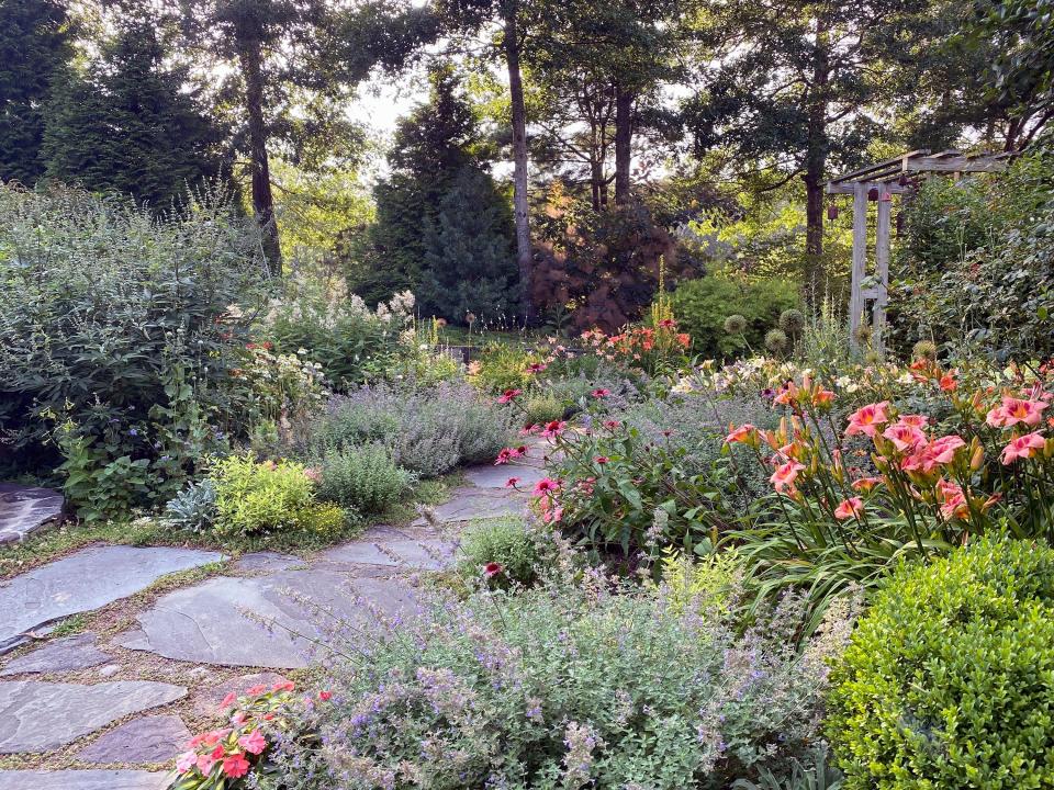 C.L. Fornari's front gardens at the Sandwich home she is opening for private tours as part of the Cape Cod Hydrangea Festival.