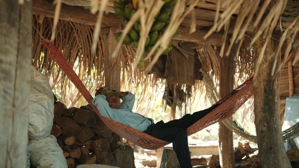 Carillo resting in a hammock with a hat on.