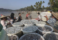 Fishermen unload the day's catch from a fishing boat at Ngapali Beach near a fishing village in Myanmar's western Rakhine State, Saturday, Dec. 31, 2022. (AP Photo/Aung Shine Oo)