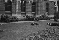 <p>Soldiers, so exhausted from the V-E Day celebrations, collapsed across a London park.</p>