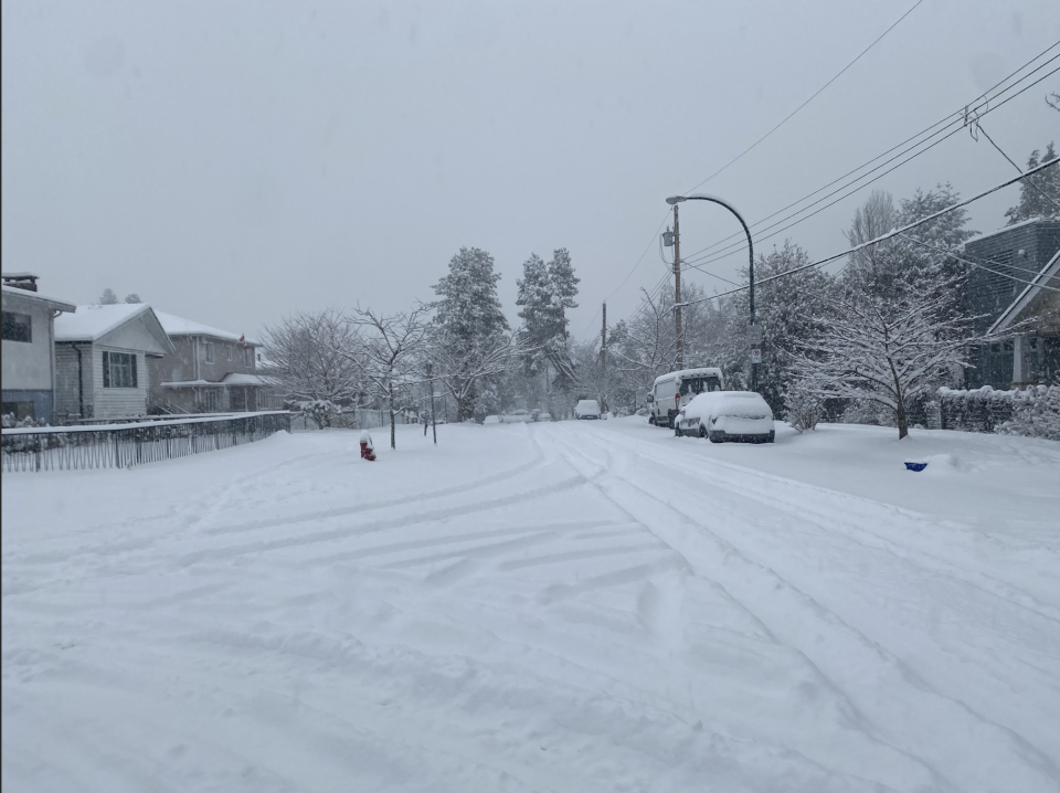 Mia Gordon: Heavy snow, snowfall, snowstorm, winter. Vancouver British Columbia, Jan. 17, 2024