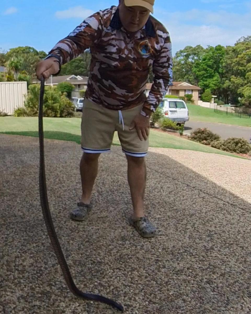 柯林認為自己也是冒著生命危險在抓毒蛇。（圖／翻攝自Lake Macquarie Snake Catcher臉書）