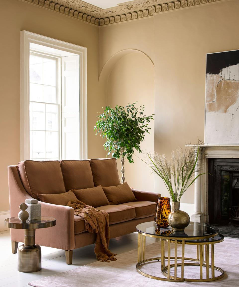 Living room with brown sofa