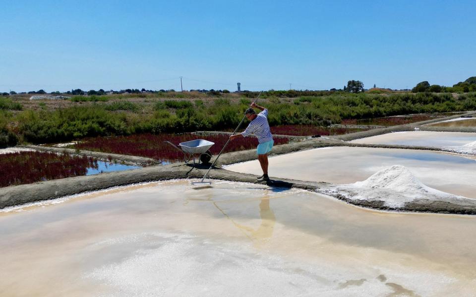 French salt maker Francois Durand harvests sea salt from a salt pan in Le Pouliguen, west France. The country's record heatwave has seen salt yields nearly double - YANN TESSIER /REUTERS
