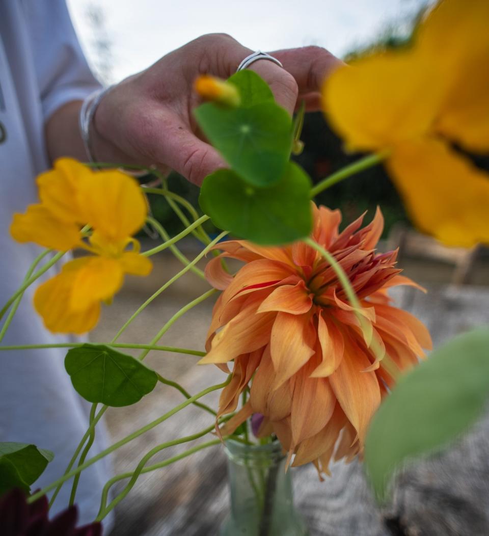 'Matthew loves the prolific flowers that keep going for months'