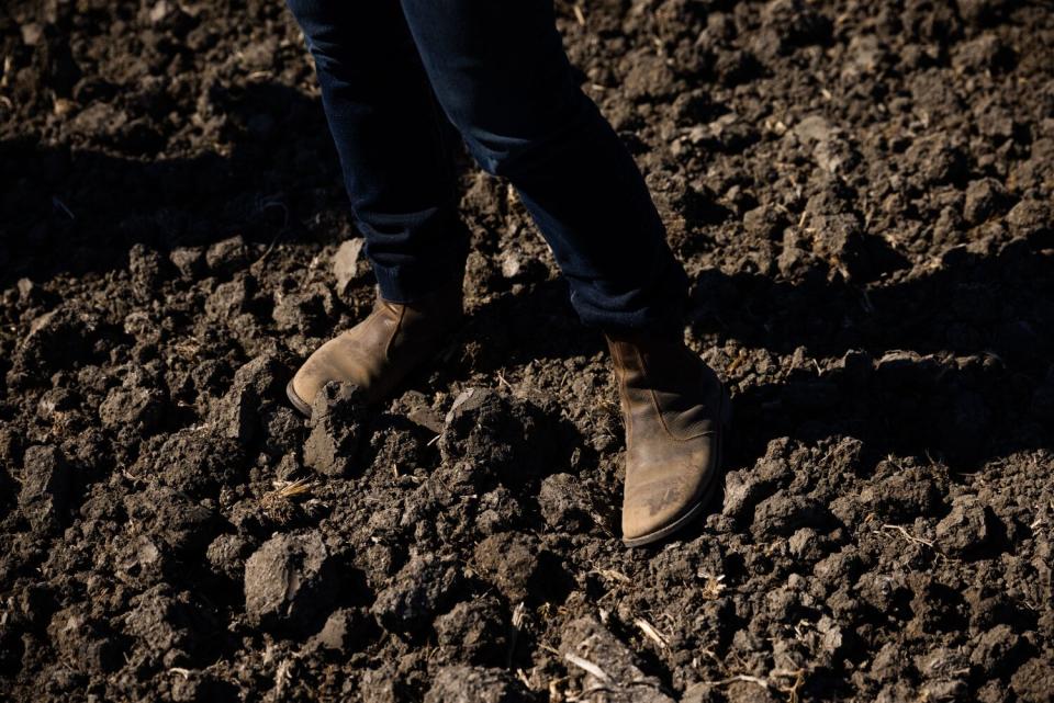 A woman stands in a fallowed rice field.