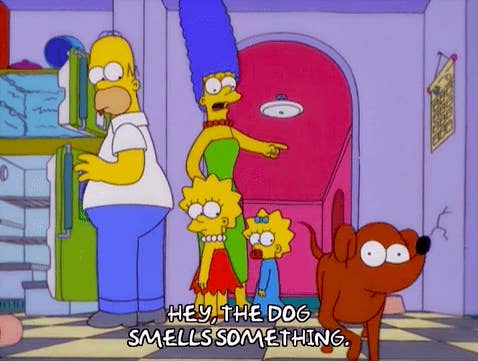 Marge Simpson pointing at a dog saying, "Hey, the dog smells something"