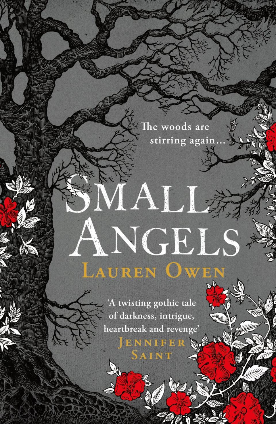 ‘Small Angels’ by Lauren Owen is released on 2 August (Handout)