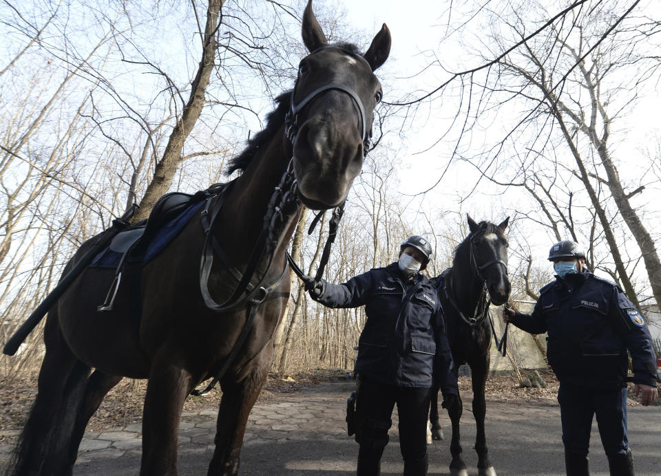 Mounted police patrol in a park in Warsaw, Poland, on Friday, March 5, 2021. When they age, the dogs and horses that serve in Poland's police, Border Guard and other services cannot always count on a rewarding existence. Responding to calls from concerned servicemen, the Interior Ministry has proposed a bill that would give the animals an official status and retirement pension, hoping this gesture of “ethical obligation” will win unanimous backing. (AP Photo/Czarek Sokolowski)