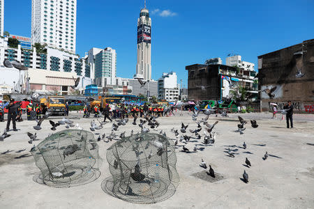 Government officers catch pigeons on a street side in Bangkok, Thailand September 26, 2018. REUTERS/Soe Zeya Tun