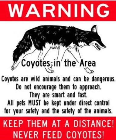 The Dutchess County Government issued an advisory about aggressive coyote behavior in the Town and City of Poughkeepsie and Town of Hyde Park.