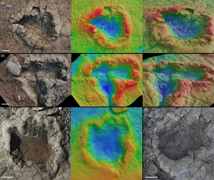 Detail images of individual tracks believed to belong to dinosaurs. / Credit: Cambridge University Press