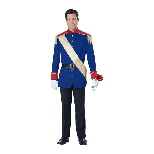 Prince Charming costume