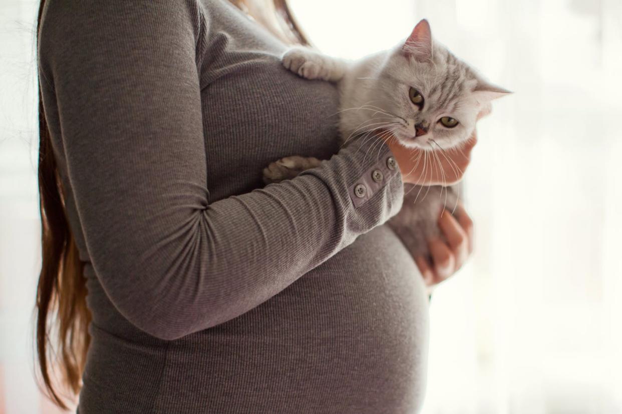 If you're pregnant, you should pass the cat litter scoop to someone else. <a href="https://www.gettyimages.com/detail/photo/pregnant-woman-and-grey-cat-royalty-free-image/1137135599" rel="nofollow noopener" target="_blank" data-ylk="slk:Oksana Nazarchuk/iStock via Getty Images Plus;elm:context_link;itc:0;sec:content-canvas" class="link ">Oksana Nazarchuk/iStock via Getty Images Plus</a>