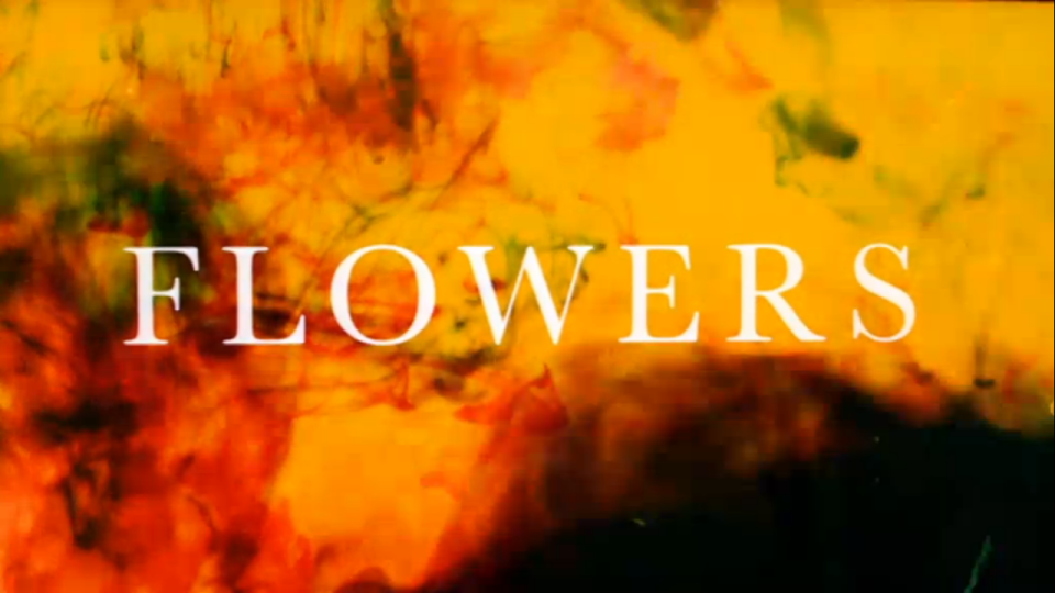 Flowers, a quiet comedy with the feel of a melancholy fairytale, is strikingly brilliant (Channel 4)