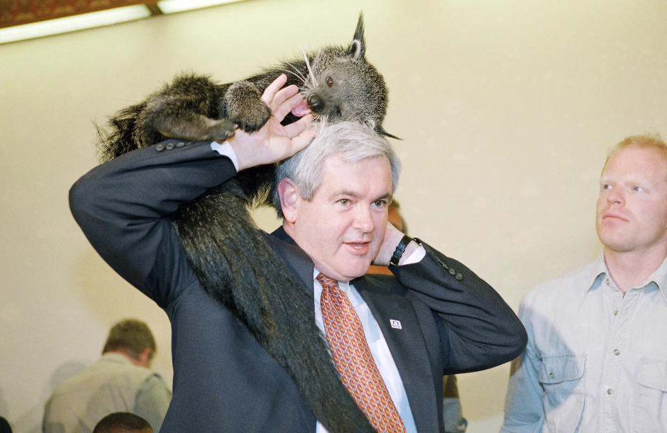 Newt Gingrich animals