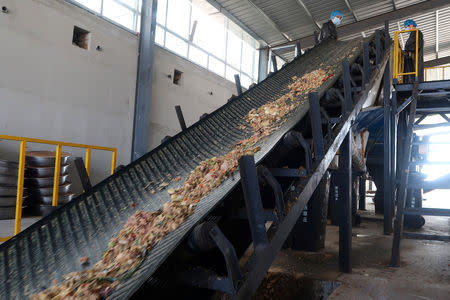 Workers sort kitchen waste to feed cockroaches at a waste processing facility of Shandong Qiaobin Agriculture Technology on the outskirts of Jinan, Shandong province, China October 17, 2018. REUTERS/Thomas Suen