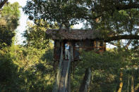 <div class="caption-credit"> Photo by: Inkaterra Reserva Amazonica</div><div class="caption-title">5. Inkaterra Canopy Tree House At Inkaterra Reserva Amazonica In Tambopata, Peru</div><p> High above the Amazonian tree tops (90 feet, to be exact) and accessible only via a canopy walk sits this thatched-roofed cabin. The room itself is basic, with limited water and electricity - but that's all part of the romance. In the evening, when the hurricane lamps are lit and your butler serves you a pisco sour, you can listen to the sounds of the Peruvian jungle as it settles into its night routine. A guided evening excursion across the hotel's canopy walks is part of the stay. For more info, visit <a rel="nofollow noopener" href="http://www.bridalguide.com/planning/wedding-reception/fall-wedding-ideas" target="_blank" data-ylk="slk:inkaterra.com;elm:context_link;itc:0;sec:content-canvas" class="link ">inkaterra.com</a>. </p> <p> <b>Related: <a rel="nofollow noopener" href="http://www.bridalguide.com/honeymoons/more-destinations/charitable-green-hotels" target="_blank" data-ylk="slk:Charitable and Green Honeymoon Hotels;elm:context_link;itc:0;sec:content-canvas" class="link ">Charitable and Green Honeymoon Hotels</a></b> </p>