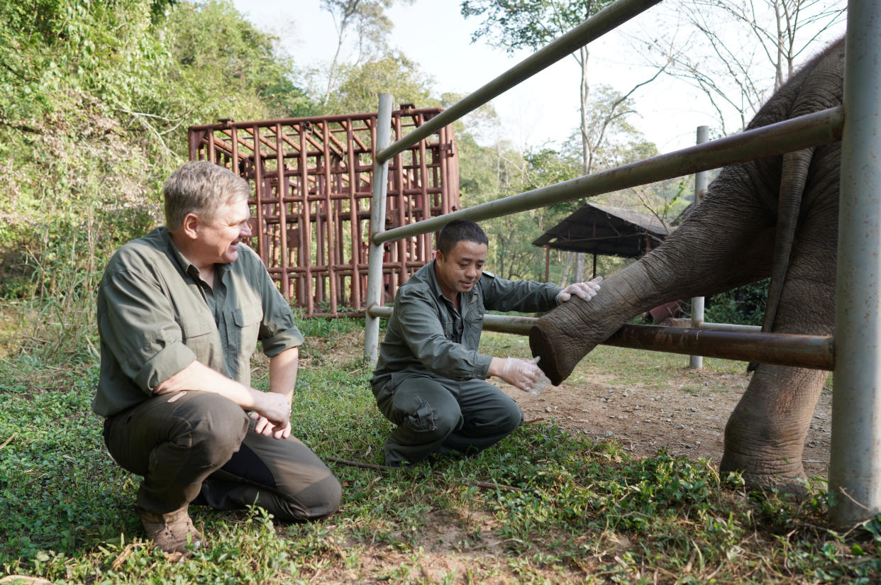 Ray Mears with elephant conservationists, Dr Bao Mingwei and Cockroach the Elephant. (ITV/Tin Can Island)