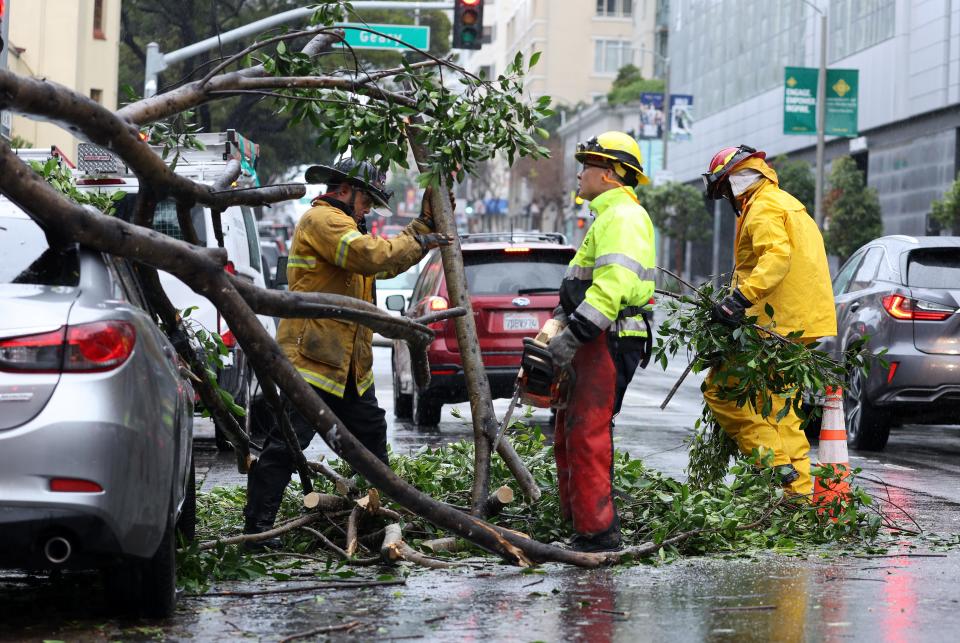 San Francisco firefighters remove a large tree branch that fell onto a parked car due to high winds on Tuesday in San Francisco.