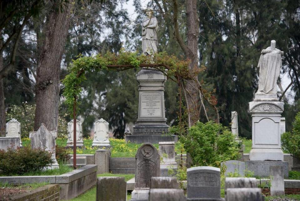 Roses grow at the Sacramento Old City Cemetery in 2016. Lezlie Sterling/Sacramento Bee file