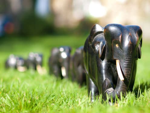 <span class="caption">The tusks in these ornamental elephants are real ivory.</span> <span class="attribution"><a class="link " href="https://www.flickr.com/photos/wwarby/5110117654/in/photolist-8MyFWN-SwG16d-ib3jML-8MvBoF-8MvAUg-4BJbWu-8MyGhS-8MvAtv-d2YaK7-d2rzfC-acLgC5-d3xsK7-cfsx2b-RdwZiy-d1S6ZS-cVNJXY-35PVb5-acHNdX-atzxYf-5KT58n-acLCzU-acLB57-AbZu6-SBuNnA-4fmgvE-Bzj1nU-5Jx9k5-S8khPS-UkFpXB-ib3mBN-SPrjNz-S86NdQ-SKvQYR-T77S7d-Ga3R97-EJno2G-H7gGp8-ST52hB-H5xgGn-BjwqDx-T281ic-Ga8D4K-Su3wrj-BrUmtk-KZcq1G-sEeU88-7nVmFi-aiaFEt-acHv1t-aorzkM" rel="nofollow noopener" target="_blank" data-ylk="slk:William Warby;elm:context_link;itc:0;sec:content-canvas">William Warby</a>, <a class="link " href="http://creativecommons.org/licenses/by-sa/4.0/" rel="nofollow noopener" target="_blank" data-ylk="slk:CC BY-SA;elm:context_link;itc:0;sec:content-canvas">CC BY-SA</a></span>