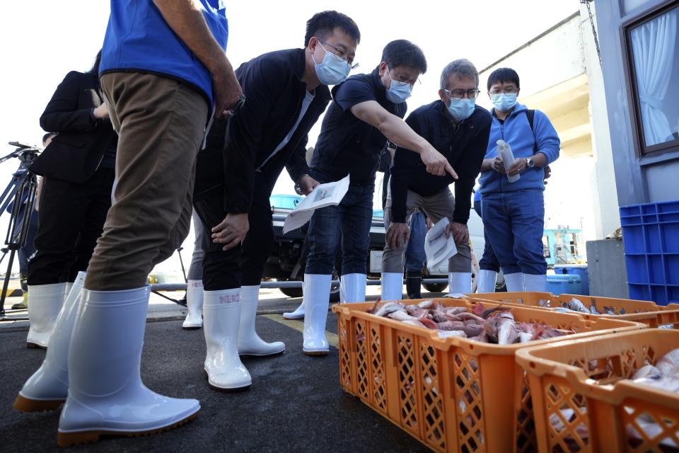 A team of experts from the International Atomic Energy Agency (IAEA) with scientists from China, South Korea and Canada observe the inshore fish as the sample at Hisanohama Port in Iwaki, northeastern Japan Thursday, Oct. 19, 2023. They are visiting Fukushima for its first marine sampling mission since the Fukushima Daiichi nuclear power plant started releasing the treated radioactive wastewater into the sea. (AP Photo/Eugene Hoshiko, Pool)