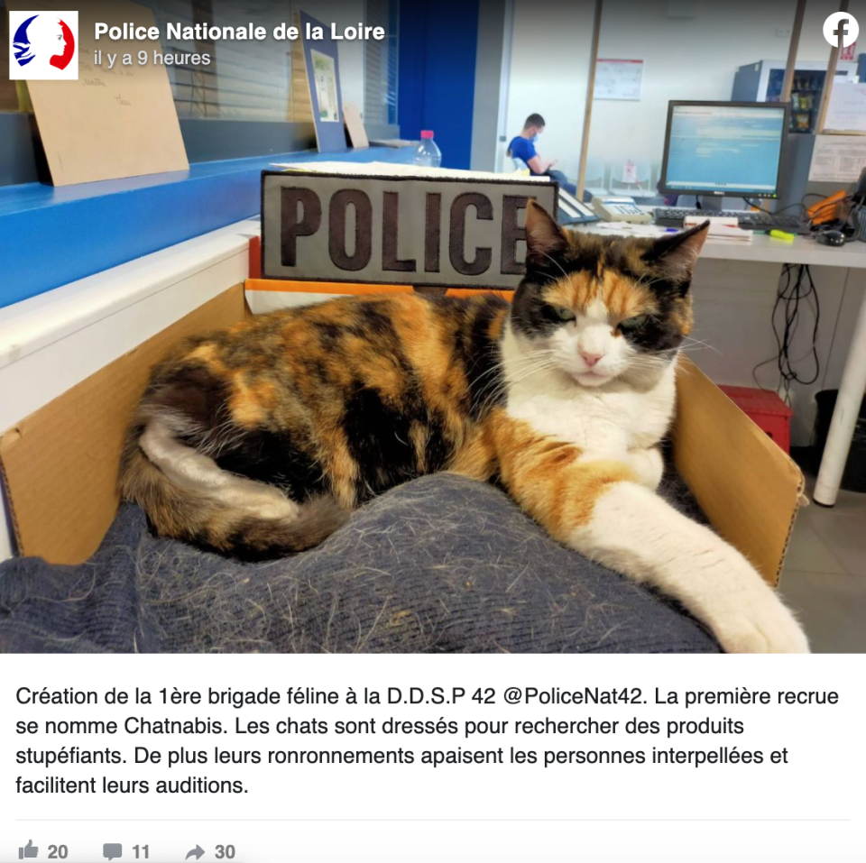 Facebook / Police Nationale de la Loire