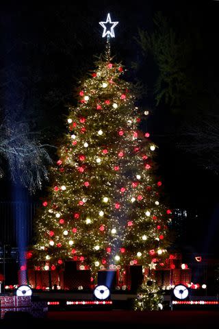 <p>Paul Morigi/Getty</p> The 2022 National Christmas Tree