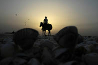 <p>A man rides a horse at Karachi’s beach area in Pakistan on Feb 27, 2012. (AP Photo/Shakil adil) </p>