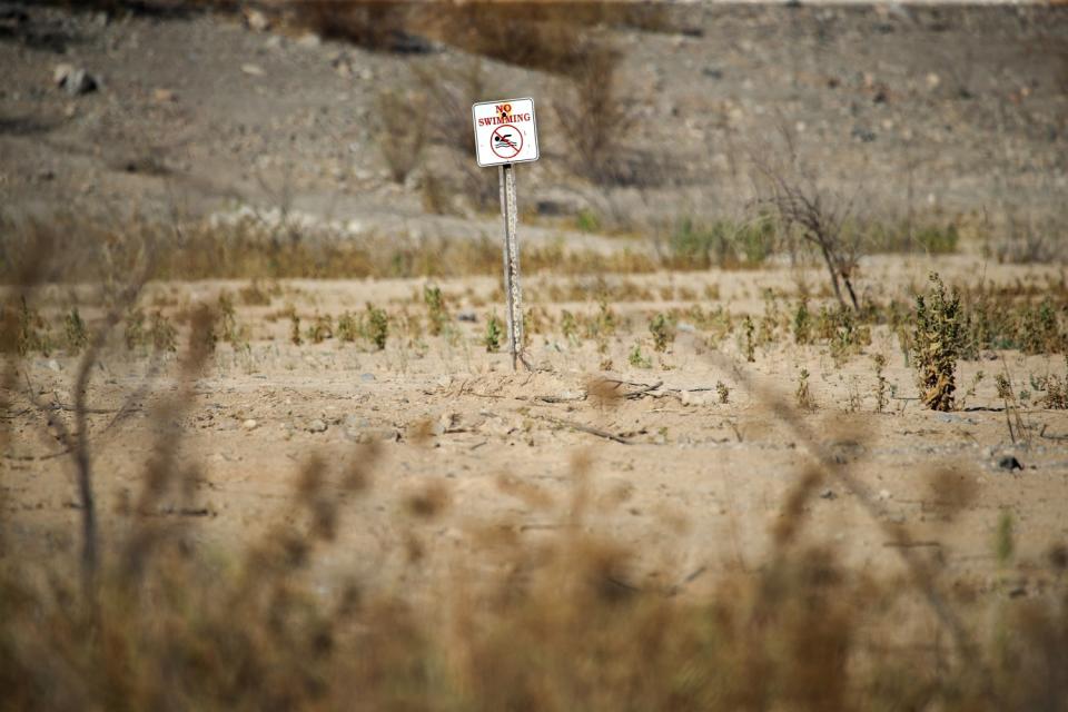 A no swimming sign rises above dry land